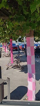 Rožnati oktober na Ravnah (7)